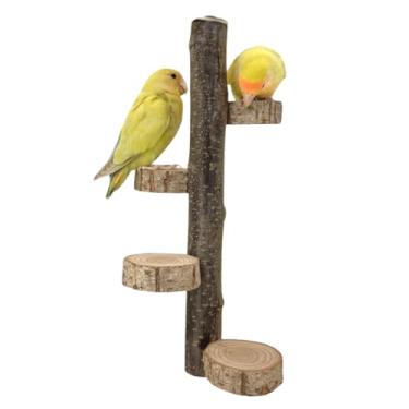 Imagem de CXYYXF Gaiola de papagaio de brinquedo de treinamento de pássaros com plataforma de brinquedo calopsita parque infantil poleiro de academia para uso interno em casa suporte de treinamento de papagaio