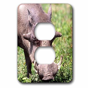 Imagem de 3dRose LLC lsp_83933_6 Common Warthog, Wildlife, Tanzânia África Na02 Dno0387 David Northcott 2 Tampa de tomada