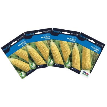 Imagem de TOPSEED, 4X Sementes de Milho Doce Azteca Blueline TOPSEED