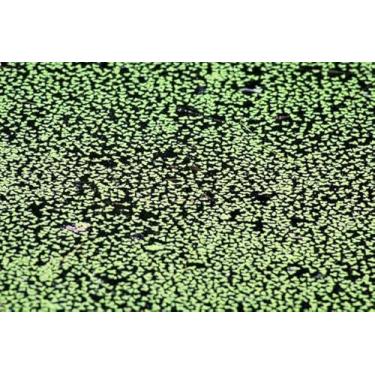 Imagem de Quadro Decorativo com Estampa Full Frameshot Camera 30 x 30 Papel 1 unidade