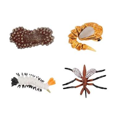Imagem de Figura do inseto de 4 partes ninhada plástica do ciclo de vida animal 