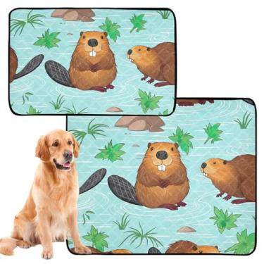 Imagem de TSENQUE Cute Beavers Wildlife Print Animal Pet Lavável Pee Pads Reutilizáveis Pet Cats Tapete Absorvente Cachorro Tapete Impermeável para Caixote do Cachorro, Pequeno x Pacote com 3