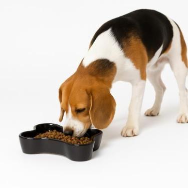 Imagem de Comedouro Pet Design Osso  Ideal para Cães Pequenos e Médios - Fabrica
