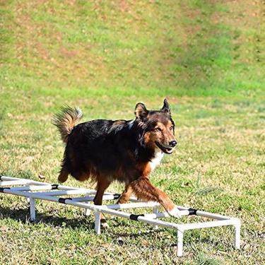 Imagem de Escada de treinamento de agilidade para cães para animais de estimação brincar correr obstáculo portátil esportes ao ar livre equipamento de exercício prática pular obstáculo com bolsa de transporte, branco, 3,4 m