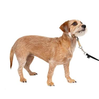 Imagem de PetSafe, Coleira para cães Gentle Leader Headcollar que não puxa, Fawn, pequena até 11 kg.
