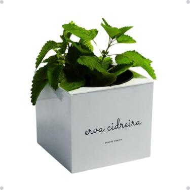 Imagem de Kit Horta Vertical Vaso + Sementes e Substrato Para Chá Jardineiras Salmão (Erva-Cidreira, Creme, 1)