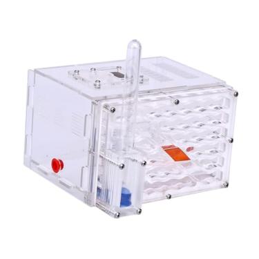 Imagem de Bothyi Caixa de exibição de de, brinquedos, suprimentos para oficina, com alimentador, caixa de criação de fazenda de formigas para decoração