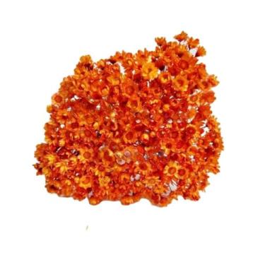 Imagem de SEMPRE VIVAS FLORZINHAS DESIDRATADAS PARA LEMBRANCINHAS ARRANJOS DE MESA CASAMENTOS MAÇO ORGANIZADO(LARANJA)