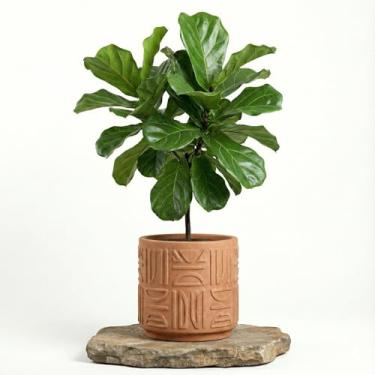 Imagem de Genérico Vaso Bacia Decorativo para Uso Interno, GG, Cinza Claro, Polietileno, Efeito Pedra Granito, Quadrado, Chão, Plantas, 12x7x11 cm