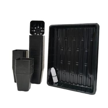 Imagem de June Fox Pacote com 60 vasos quadrados para berçário de 10 cm com 5 bandejas de sementes, vasos pequenos para plantas com orifícios de drenagem para mudas, suculentas (preto)