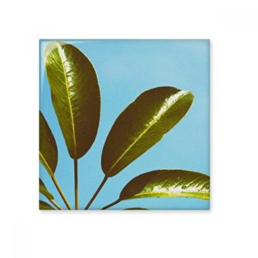 Imagem de Pedra adorna de tijolos vitrificados Azulejo de cerâmica natural com folha de céu azul