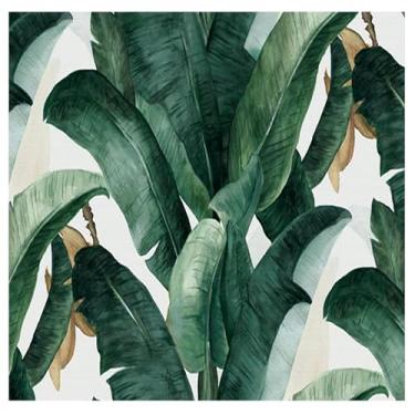 Imagem de TUYIFA 3D escandinavo simples pintado à mão plantas tropicais papel de parede papel de parede sala de estar quarto TV sofá fundo mural de parede (158''x110'' (400x280cm), pano de seda)