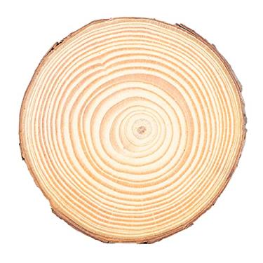 Imagem de Madeira de Pinheiros para Fts DIY, Toras Redondas para Decorações Festivas (3 tamanho 7~8cm)