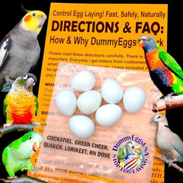 Imagem de DummyEggs Ovos falsos de calopita dos EUA param de deitar! Perfeito para calopsita, papagaio quaker, bochecha verde, pomba ringneck Ovos falsos de plástico sólido não tóxico. Plástico premium realista. Colocado nos EUA!