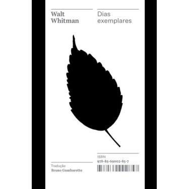 Imagem de Livro - Dias exemplares  Coleção Acervo