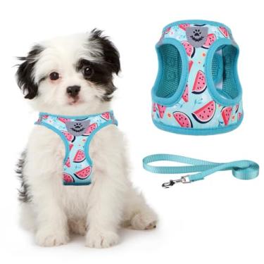 Imagem de KOOLTAIL Arnês para cães pequenos e médios, conjunto de coleira e coleira para cães, sem puxão, malha macia, acolchoada, ajustável, refletiva, peitoral para animais de estimação, filhote, azul,