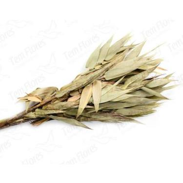 Imagem de Folha Navalha Capim Navalha Natural Desidratado Flores Secas - Tem Flo
