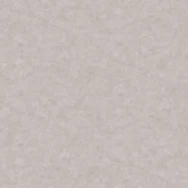 Imagem de Papel de Parede Nature Pedra Cinza TONU8013