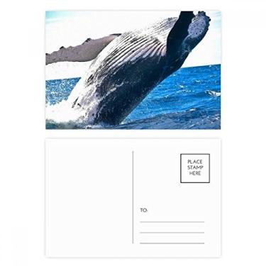 Imagem de Cartão postal Marine Organism Baleia Ocean Animal Conjunto de cartões postais de aniversário