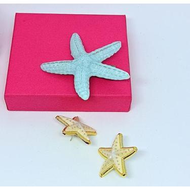 Imagem de Kit Par de Brincos estrela do Mar Resinado colorido + Presilha de Cabe