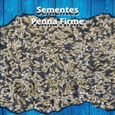Imagem de Mistura de Sementes - Pintassilgo - 500g - MS