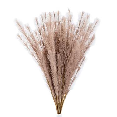 Imagem de UiiziC Faux Pampas Grass 8 Pcs 30"/76Cm Flores Artificiais Secas Fofas Ascendant Grass para Vasos Enchimentos Buquês Festas de Casamento Decoração de Centros de Hotel Em Casa (Bege)