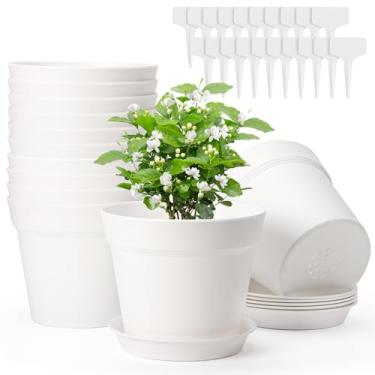 Imagem de GREANER Vasos de plantas internos, vasos de mudas brancas com 20 marcadores de plantas, vasos de suculentas com pires e orifícios de drenagem para decoração de festa de Natal e casamento