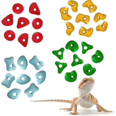 Imagem de Okueejur 32 peças de suportes para escalada em rocha para dragões barbudos para escalada de dragões barbudos acessórios de tanque répteis suportes de parede de rocha de brinquedo (colorido)
