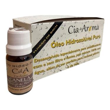 Imagem de Kit Box 10 Óleos Hidrossolúvel 10Ml - Escolha O Seu Aroma