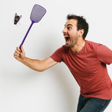 Imagem de Raquete Mata Mosca- Kit 2 unidades, Roxo e Amarelo, Tela em Grade para Controle de Insetos