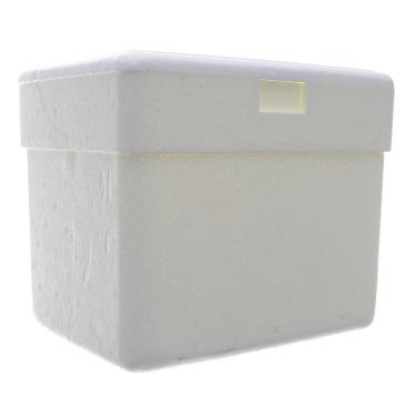 Imagem de Caixa Térmica de Isopor com Capacidade de 8 Litros Isoterm