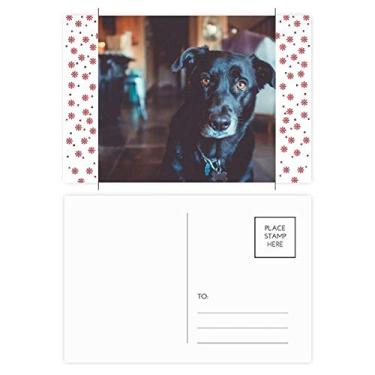 Imagem de Black Dog Pet Animal Picture Christmas Christmas Flower Celebration Cartão postal Blessing Mailing Card