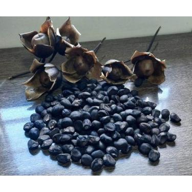 Imagem de Semente De Cipó Café Ou Flor De Pau Ótima Para Abelhas - Merremia Tube