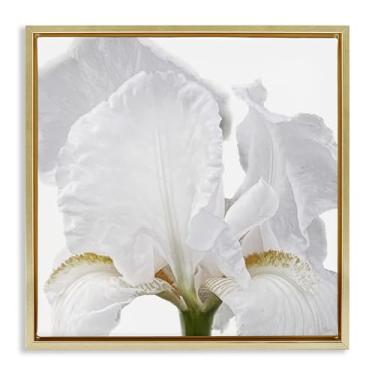 Imagem de Stupell Industries White Iris Close Up Gold Framed Floater Canvas Wall Art Design by Nan, 18 x 18
