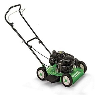 Imagem de Cortador De Grama Com Motor A Gasolina LF-600G - Trapp