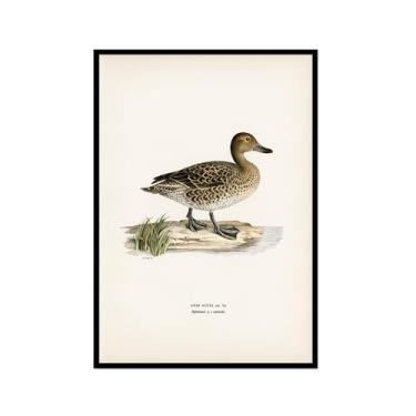 Imagem de Impressão de pato vintage rústico Pato Pato Pato Lago pôster de arte de parede retrô natureza pintura em tela imagens decoração de quarto de fazenda (SKU8,8x30,5 cm = (20 x 30 cm), moldura preta)
