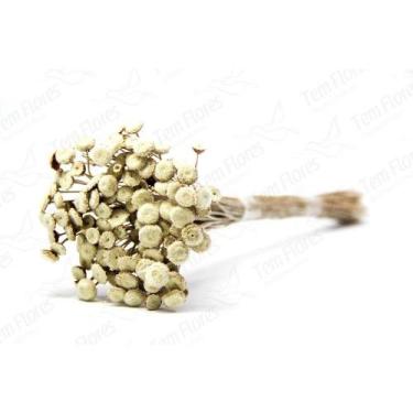 Imagem de 400 Botão Branco Desidratado Sempre Viva Flores Secas - Tem Flores