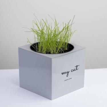 Imagem de Kit Gatos - Vaso Autoirrigável + Sachês Erva - Cinza - 10cm - Sanchz D