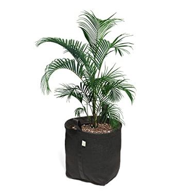 Imagem de Kit 2 Vasos De Plantas De Feltro 20 Litros Com Alças - King Pot (Preto)