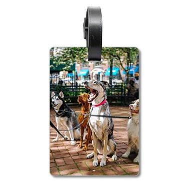 Imagem de Linda bolsa de viagem com imagem de animal de estimação, etiqueta para cartão de bagagem, etiqueta para pendurar