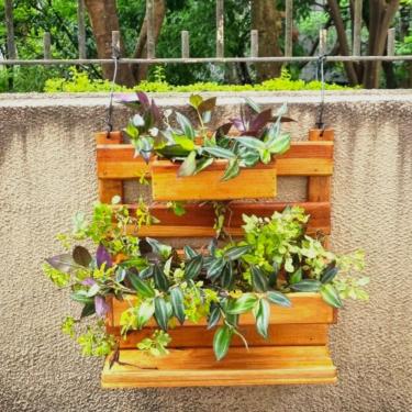 Imagem de Floreira de Parede em Madeira Pinus, Cambará e outras. Envernizado. Suporte Vertical Tipo Trelica