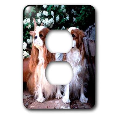 Imagem de 3dRose Capa de tomada com 2 tomadas Lsp_1172_6 Dois Blenheim Cavalier King Spaniel