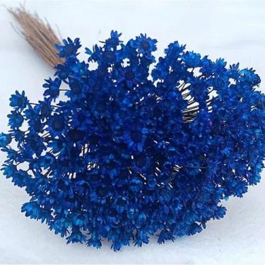 Imagem de 1000 Flores Sempre Vivas  COLORIDAS para casamentos e decoração - Viva