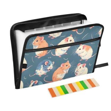 Imagem de CEBUGI Pasta expansível com 13 bolsos, organizador de arquivos sanfonado à prova d'água com etiquetas tamanho A4, organizador de documentos de papel para escola, material de escritório