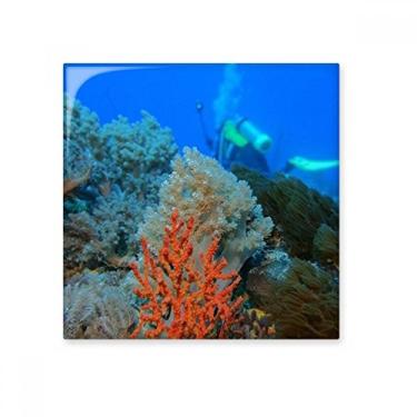 Imagem de Pedra adorna de tijolos vitrificados com pedra preciosa de cerâmica