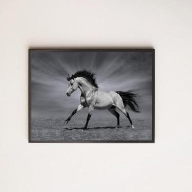 Imagem de Quadro Decorativo Fotografia Cavalo Preto E Branco 24X18Cm - Quadros O