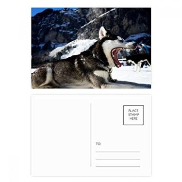 Imagem de Big Mouth Dog Snow Husky conjunto de cartões postais de aniversário cartão de agradecimento