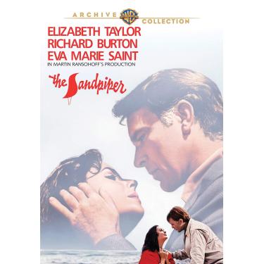 Imagem de The Sandpiper