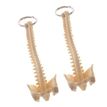 Imagem de Kokiya 2x Mini Chaveiro Feito à Mão Estilo Espinal Espinha Dorsal Acessórios Porta-chaves