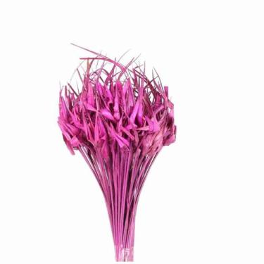 Imagem de Capim Estrela Rosa - Pense Flores